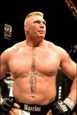 Watch Brock Lesnar 7 Fights 9movies