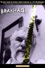 Watch Brakhage 9movies