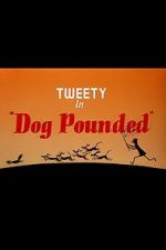 Watch Dog Pounded (Short 1954) 9movies