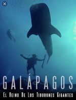 Watch Galapagos: Realm of Giant Sharks 9movies