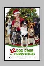 Watch 12 Dog Days of Christmas 9movies
