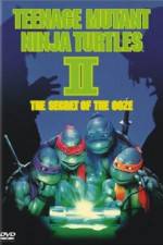 Watch Teenage Mutant Ninja Turtles II: The Secret of the Ooze 9movies