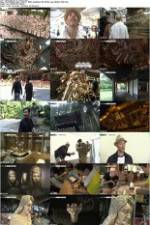 Watch Amazing Arts of Japan 9movies