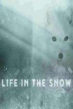 Watch Life in the Snow 9movies