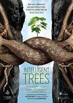 Watch Intelligent Trees 9movies
