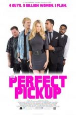 Watch The Perfect Pickup 9movies