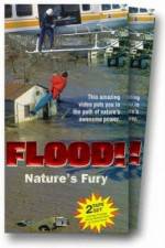 Watch Flood 9movies