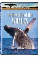 Watch Fellowship Of The Whales 9movies