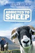 Watch Addicted to Sheep 9movies