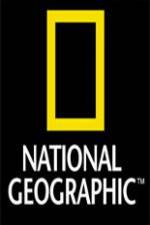 Watch National Geographic Wild Night Of The Lion 9movies