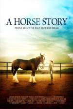 Watch A Horse Story 9movies
