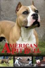 Watch American Pit Bull 9movies