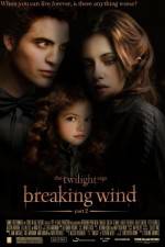 Watch Breaking Wind 9movies