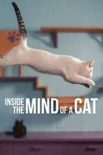 Watch Inside the Mind of a Cat 9movies