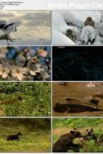 Watch National Geographic: Japans Hidden Secrets 9movies