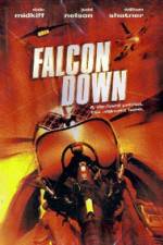 Watch Falcon Down 9movies