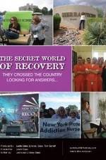 Watch The Secret World of Recovery 9movies