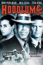 Watch Hoodlum & Son 9movies
