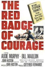 Watch The Red Badge of Courage 9movies