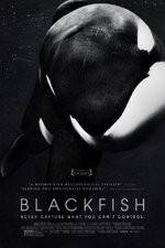 Watch Blackfish 9movies