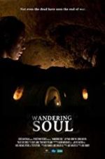 Watch Wandering Soul 9movies