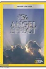 Watch National Geographic Explorer - The Angel Effect 9movies