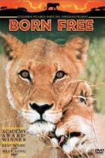 Watch Born Free 9movies