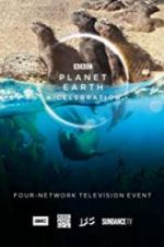 Watch Planet Earth: A Celebration 9movies