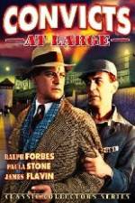 Watch Convicts at Large 9movies
