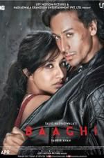 Watch Baaghi 9movies