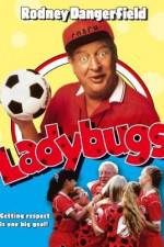 Watch Ladybugs 9movies