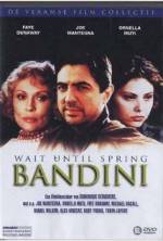 Watch Wait Until Spring, Bandini 9movies