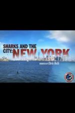 Watch Sharks and the City: New York 9movies