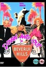 Watch Down and Out in Beverly Hills 9movies