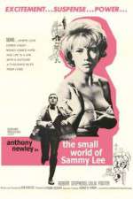 Watch The Small World of Sammy Lee 9movies