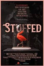 Watch Stuffed 9movies