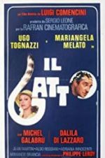 Watch Il gatto 9movies