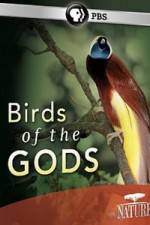 Watch Birds Of The Gods 9movies