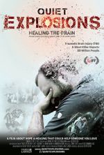 Watch Quiet Explosions: Healing the Brain 9movies