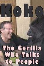 Watch Koko: The Gorilla Who Talks to People 9movies
