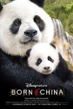 Watch Born in China 9movies