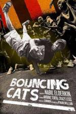 Watch Bouncing Cats 9movies