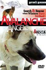 Watch Avalanche Angels 9movies