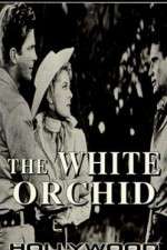 Watch The White Orchid 9movies