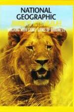 Watch National Geographic:  Walking with Lions 9movies