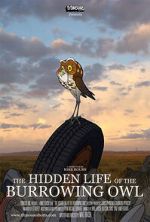 Watch The Hidden Life of the Burrowing Owl (Short 2008) 9movies