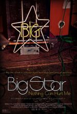Watch Big Star: Nothing Can Hurt Me 9movies