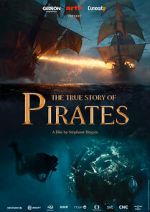 Watch The True Story of Pirates 9movies