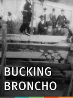 Watch Bucking Broncho 9movies
