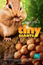 Watch Tiny Giants 3D 9movies